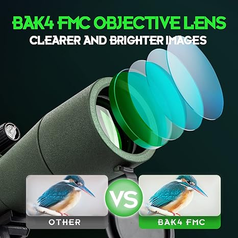 Accessories & Mounts